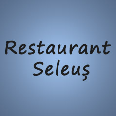 Restaurant Seleus Oradea